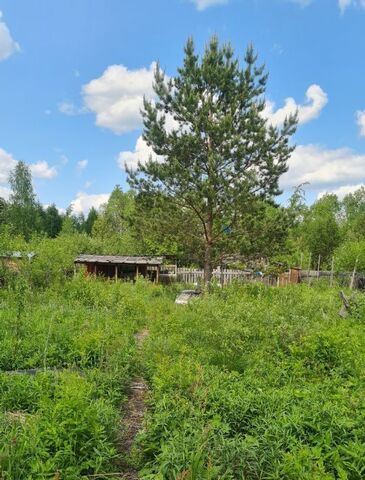 снт Исуповское СДТ, Пасеговское с пос фото