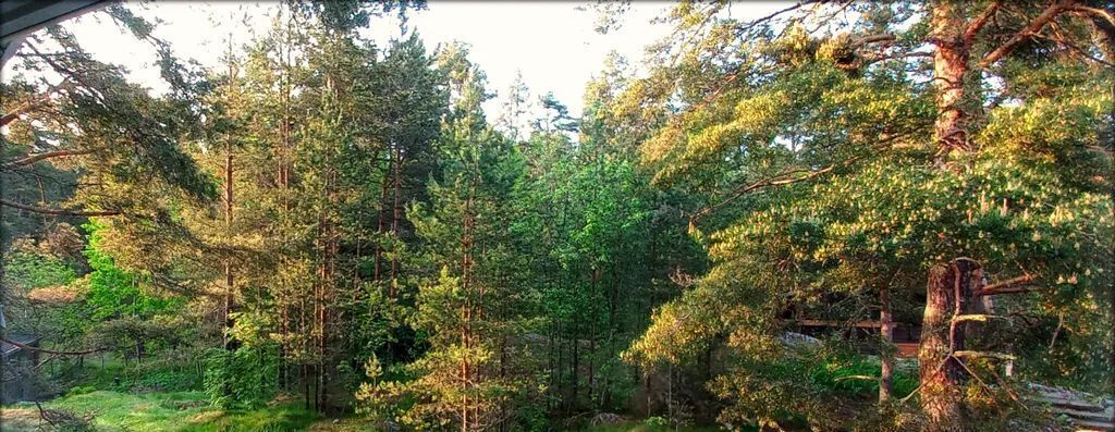 комната г Сортавала ул Большая Боровая 52 фото 6