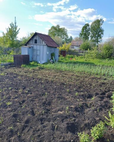 снт Нефтяник Республика Татарстан Татарстан, муниципальное образование Азнакаево фото