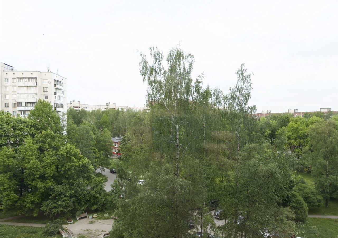 квартира г Санкт-Петербург метро Политехническая пр-кт Тихорецкий 31к/2 фото 33