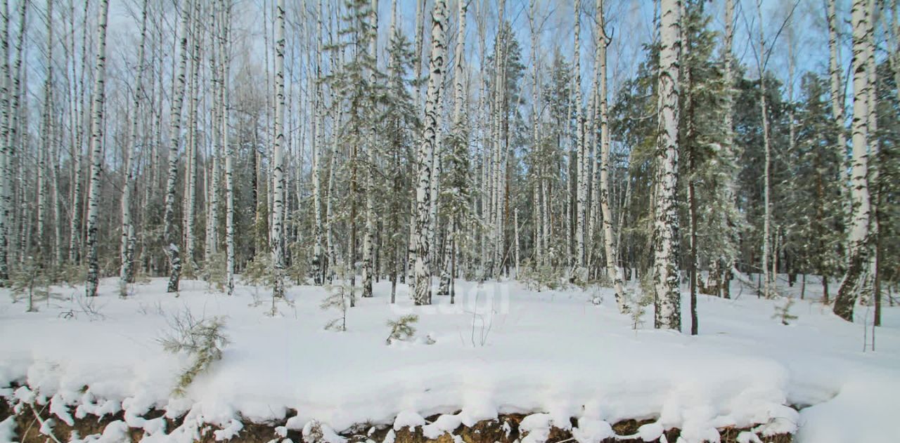 земля г Дегтярск ул Липовая Межгорье жилой посёлок фото 2