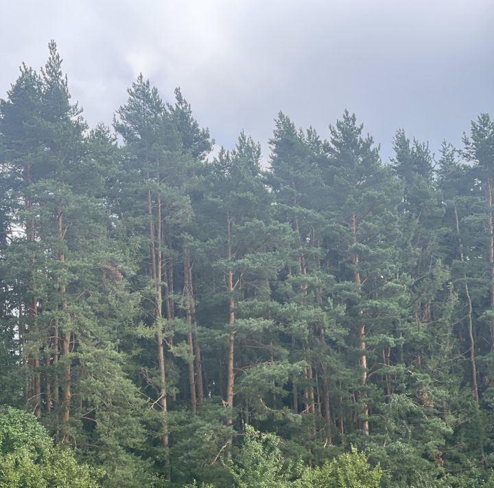 земля г Домодедово Новое Косино кп фото 4