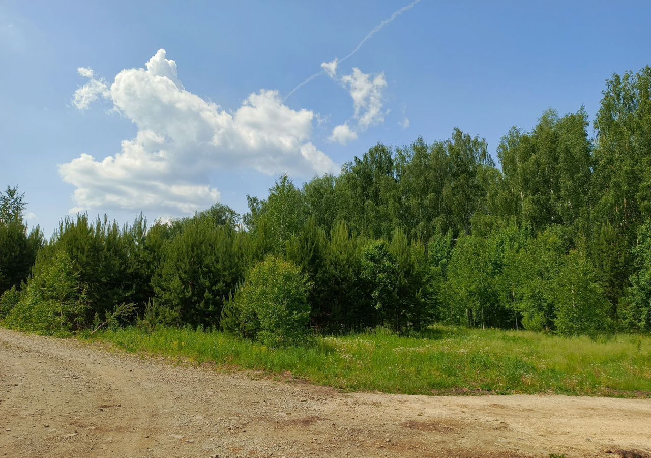 дом г Полевской с Курганово ул Надежды Екатеринбург фото 20