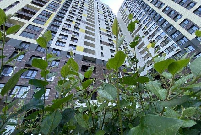 ул Академика Каргина 23а Ростокино фото