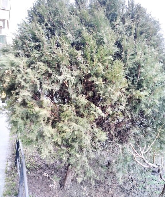 квартира г Таганрог Андреевский ул Кретова 1к/3 ЖК «Андреевский» фото 19