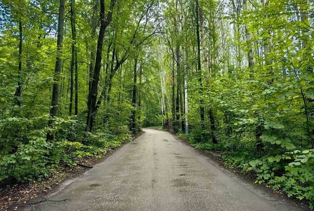 земля снт Вишенка фото