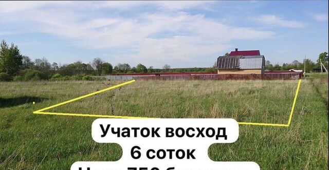 земля снт Восход мкр-н 1-е Отделение, Грибная ул фото