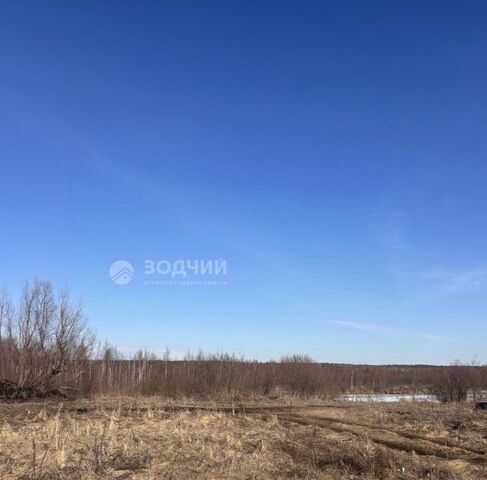 офис п Сосновка фото