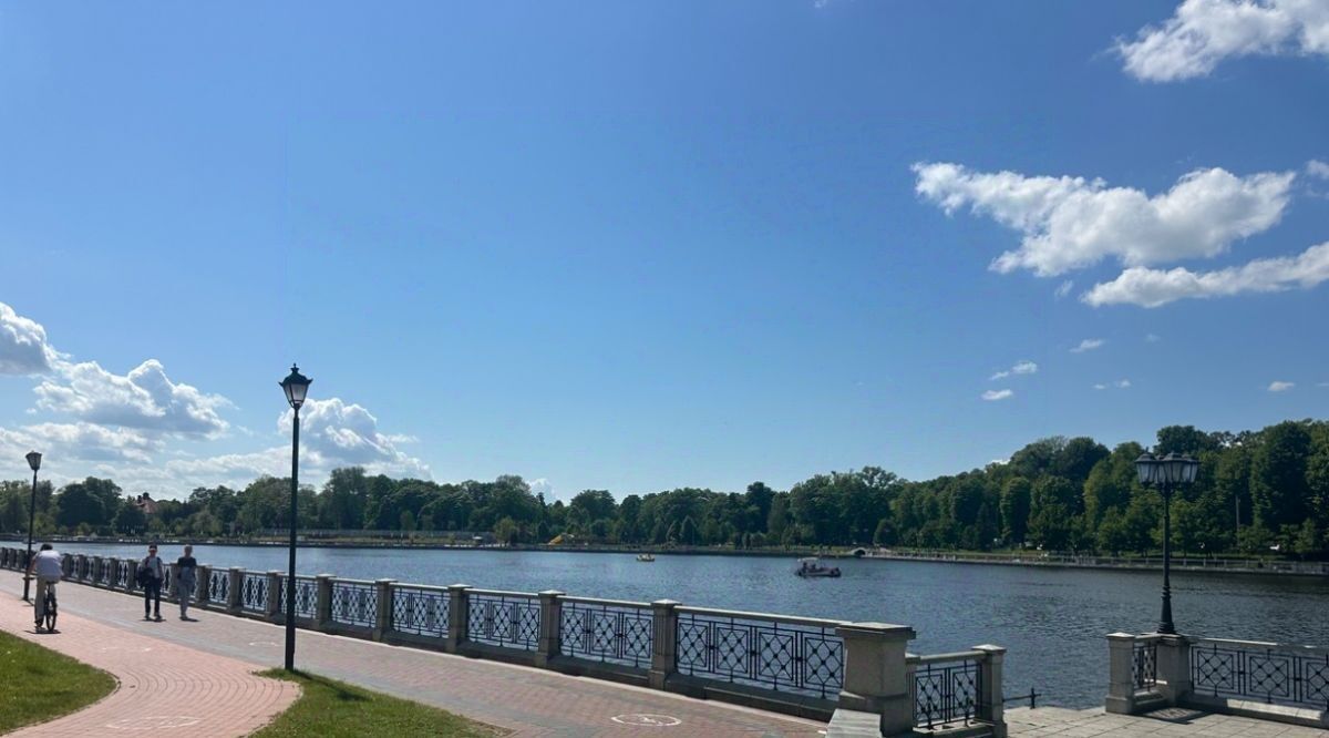 квартира г Калининград р-н Ленинградский ул Потемкина 13 фото 18