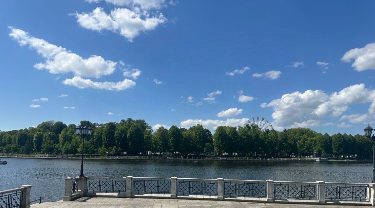 квартира г Калининград р-н Ленинградский ул Потемкина 13 фото 19