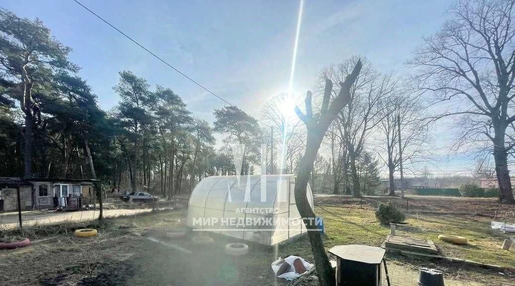 квартира г Советск ул Маяковского 18 фото 17