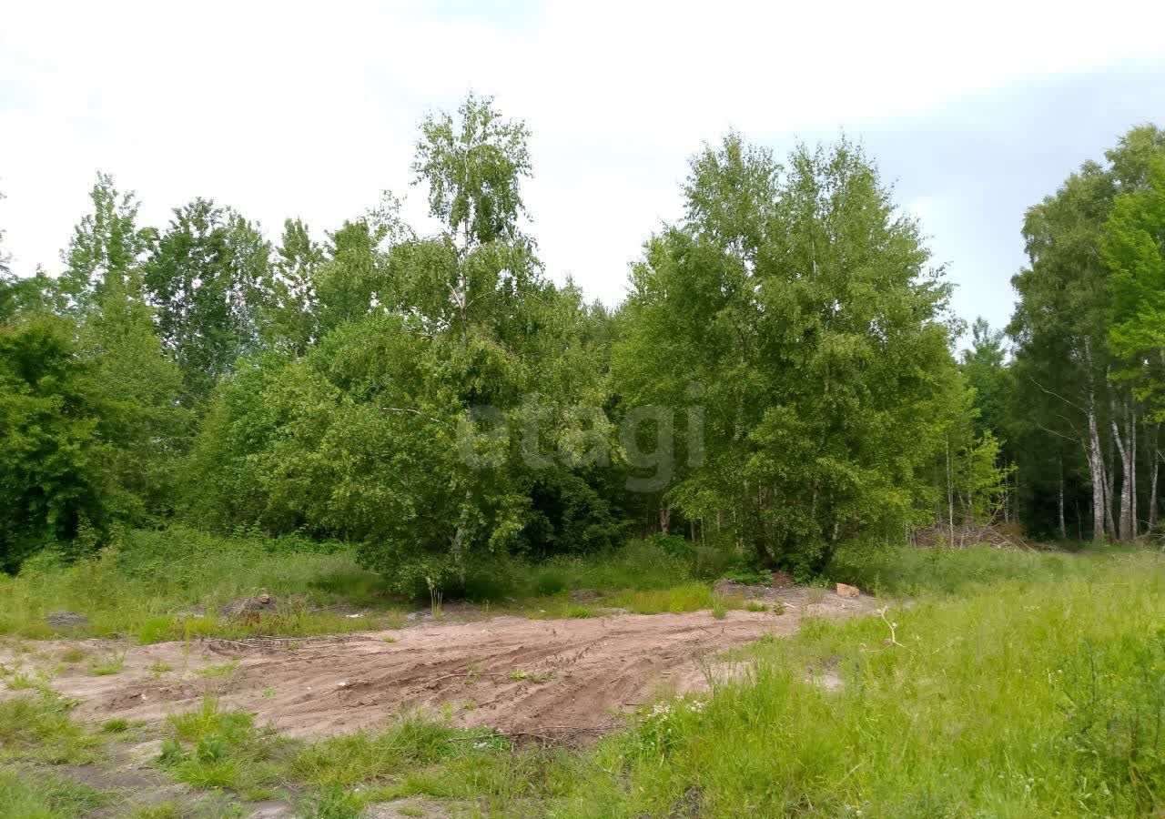 земля г Калининград Городской лес фото 6