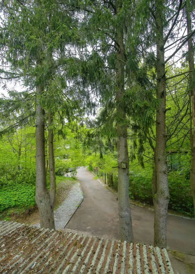 квартира р-н Светлогорский г Светлогорск ул Майская 7 фото 26