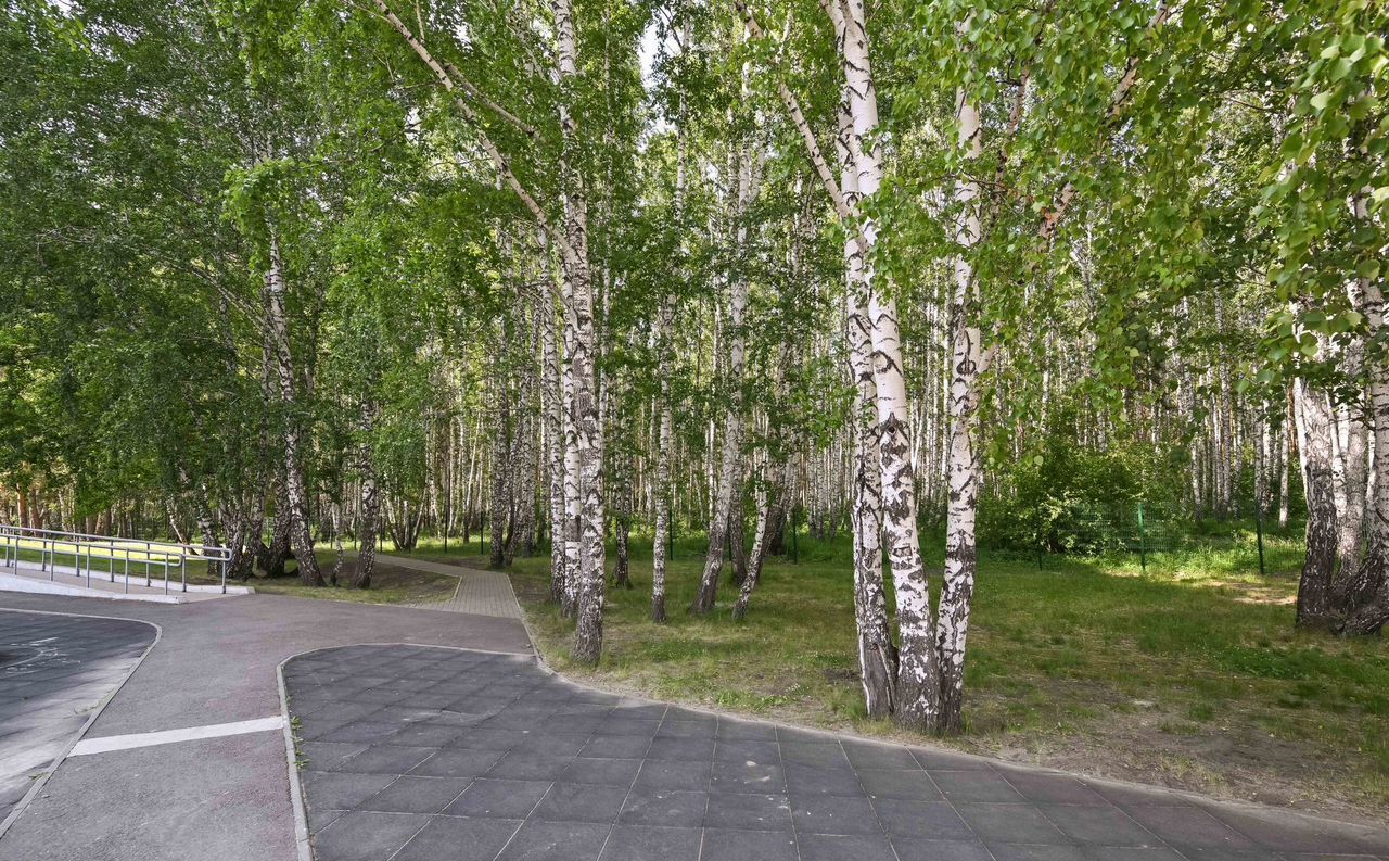 квартира г Челябинск р-н Курчатовский ул Аношкина 4 фото 24