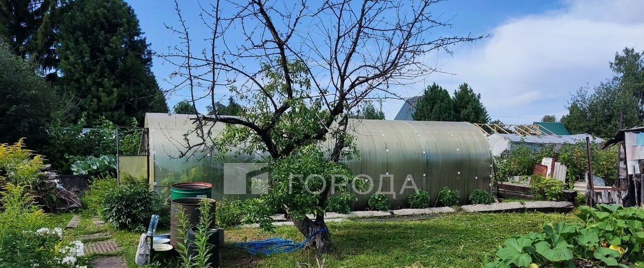 земля г Новосибирск р-н Дзержинский Берёзовая роща снт тер.Золотая Горка аллея Б, 109 фото 4