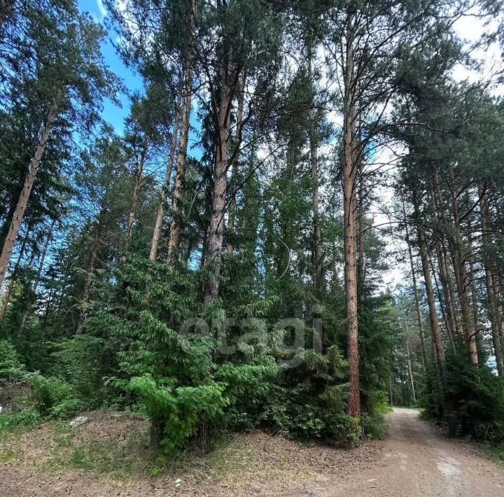 дом г Ревда тер СОТ Солнечное 86 фото 17