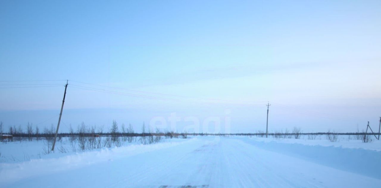 земля г Новый Уренгой фото 4