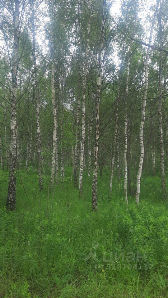 земля г Чехов КП Олвиль, 3-я Петровская улица, 15 фото 2