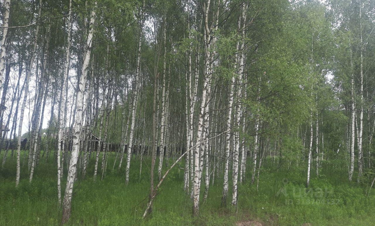 земля г Чехов КП Олвиль, 3-я Петровская улица, 15 фото 5