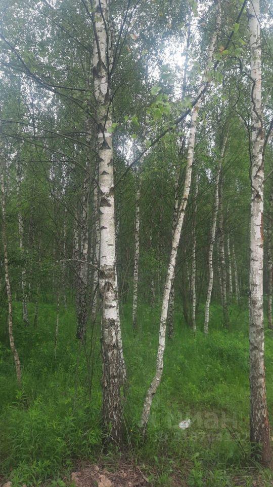 земля г Чехов КП Олвиль, 3-я Петровская улица, 15 фото 9