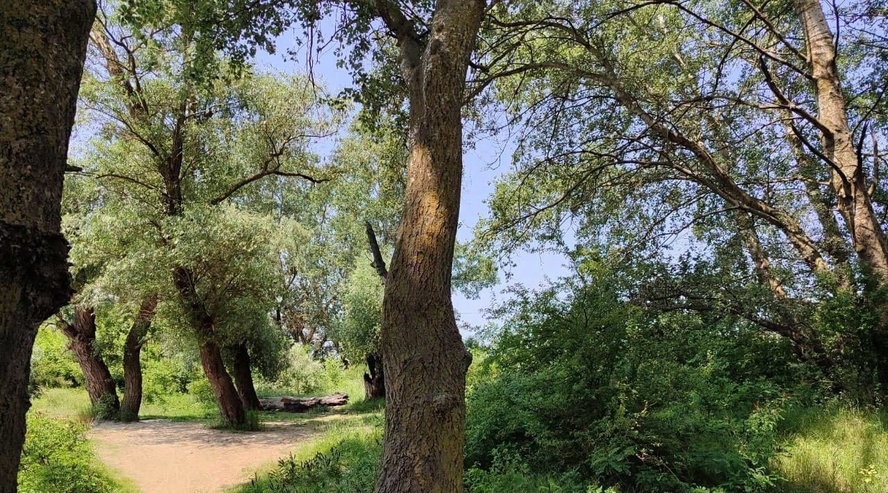 земля р-н Темрюкский г Темрюк ул Левобережная 45 фото 21