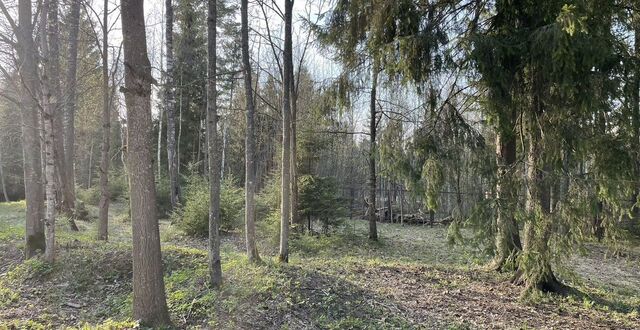 35 км, ул. Леманского, ДНТ Топаз, Можайское шоссе фото