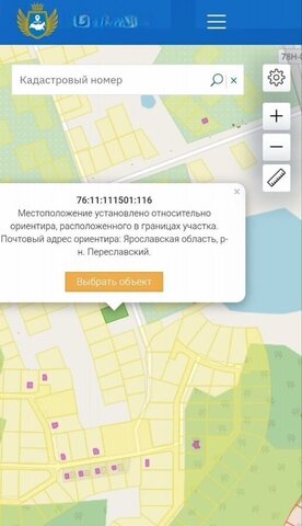 ул Весенняя ДНТ Залесье фото