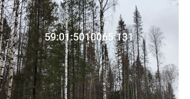 офис р-н Свердловский ул Малиновая 30 фото