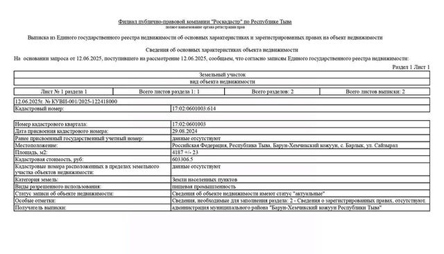 р-н Барун-Хемчикский с Барлык ул Сайзырал кожуун фото