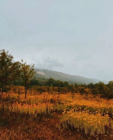 с Фанагорийское фото