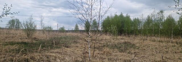 земля д Коченягино фото
