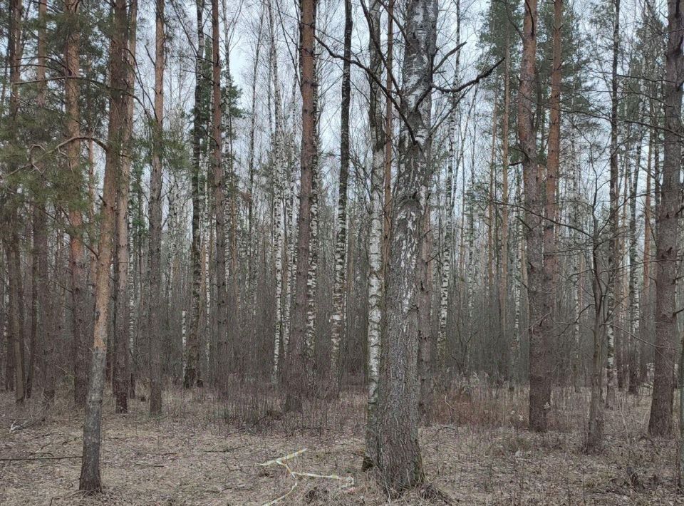 земля г Павловский Посад фото 1