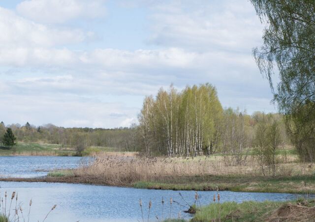 114 км, д. Вороново, Минское шоссе фото
