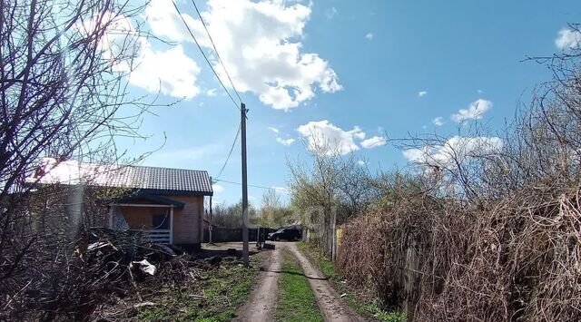 снт Дружба 280 фото