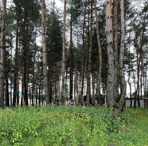 с Ямное ул Мира 88 фото