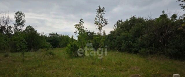 д Репное ул Солнечная 1в пос, Новоживотинновское с фото