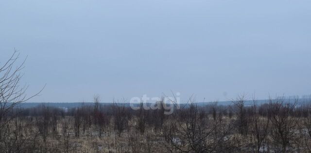 ул Озерная 35 фото