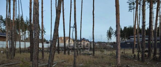 ул Свободы 55 Яменское с/пос фото