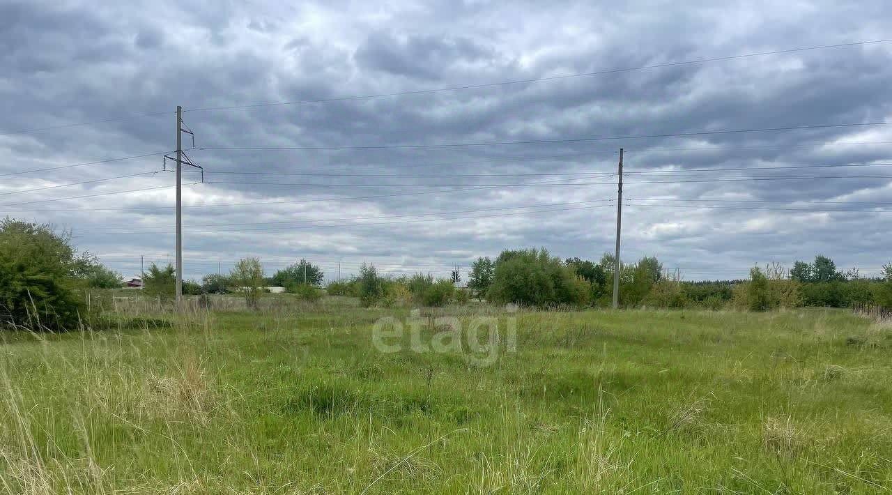 земля г Воронеж р-н Левобережный ул Смородиновая фото 3