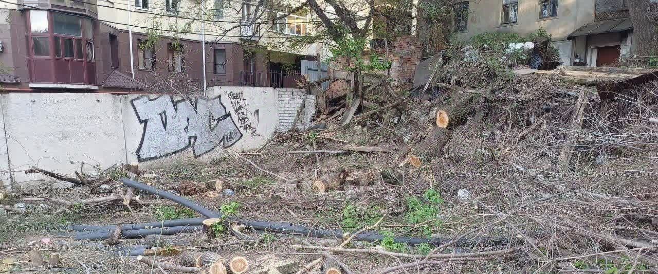 земля г Воронеж р-н Центральный ул Декабристов 33 фото 3