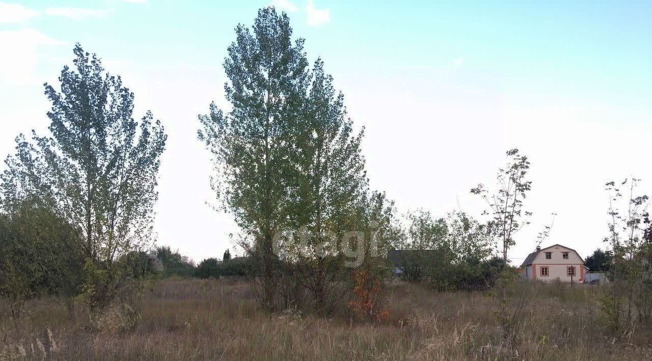 земля г Воронеж р-н Левобережный ул Большая Советская фото 4