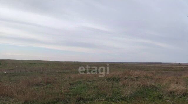земля с Береговое ул Тракторная фото