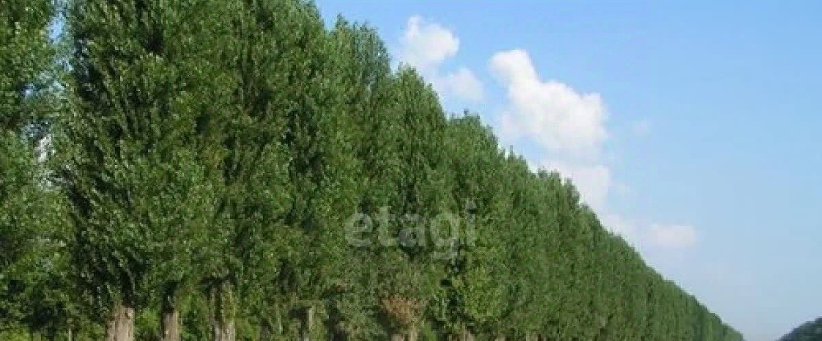 земля г Новороссийск ст-ца Натухаевская фото 2