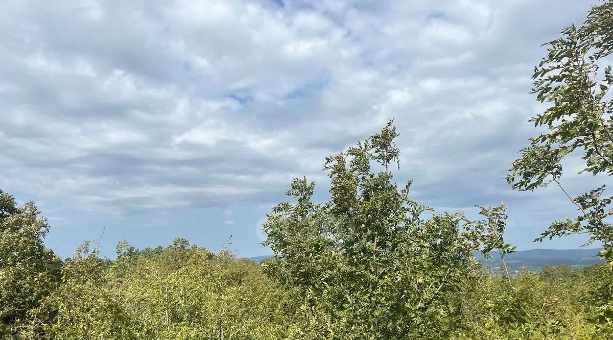 земля г Сочи снт Моряк СОТ, ул. Имени Николая Забарина, Новороссийск городской округ фото 4