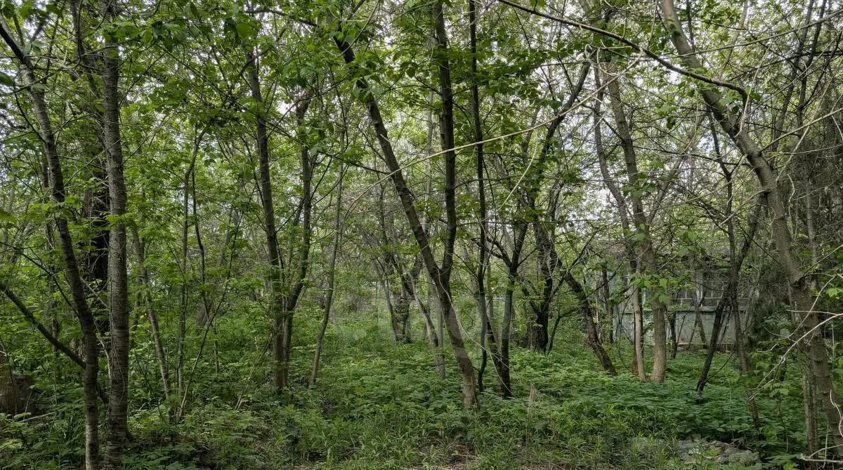 земля г Тула р-н Центральный снт терСтроитель ТУЛАСОВХОЗСТРОЙ 40 фото 2