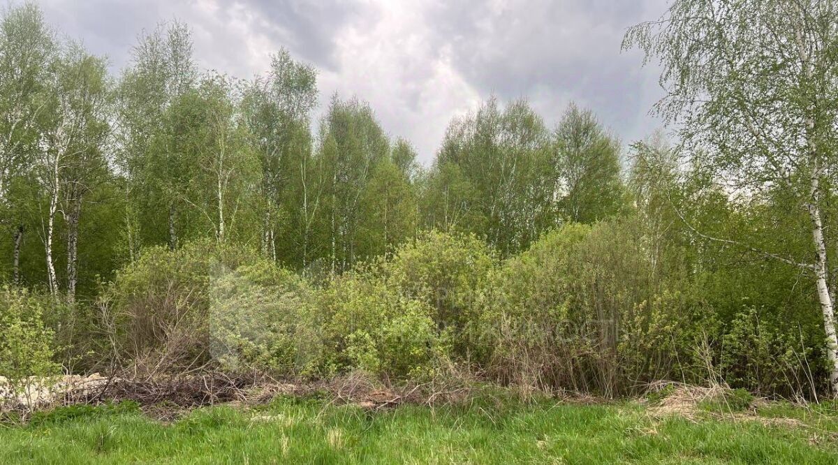 земля г Тюмень р-н Ленинский снт Якорь ул Радуга фото 1