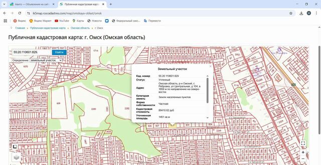 ул Янтарная Магистральное сельское поселение, Омск фото