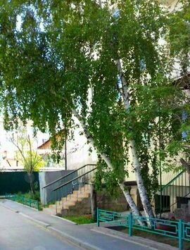квартира г Якутск пр-кт Ленина 7/2 фото 3