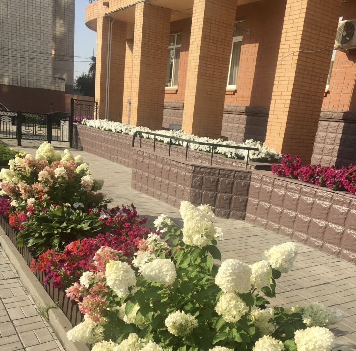 квартира г Омск р-н Центральный ул Съездовская 29/2 фото 12