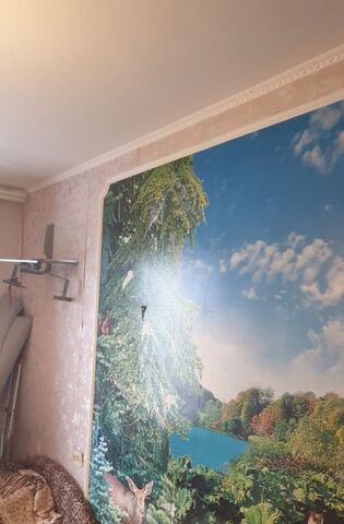 метро Царицыно ул Бирюлёвская 5к/1 фото